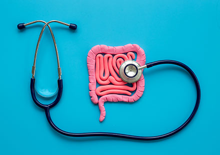 Flora Intestinal
