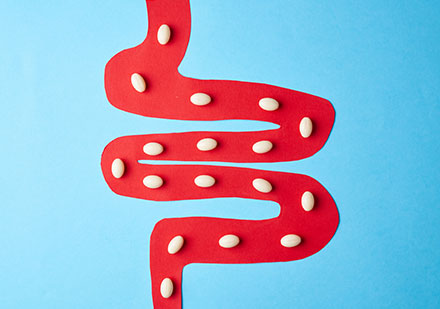 Cmo Fortalecer la Flora Intestinal
