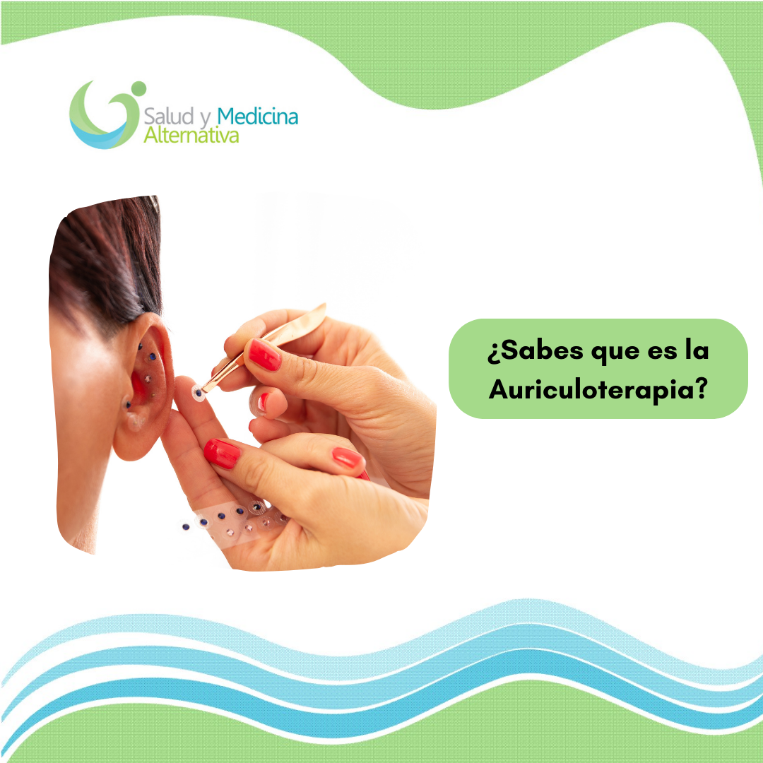 Imagen del Post 12