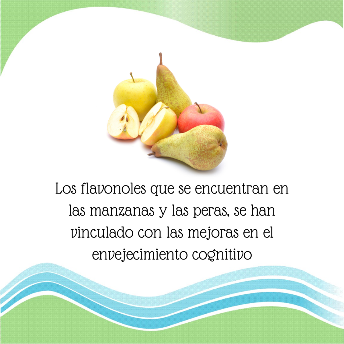 Imagen del Post 50