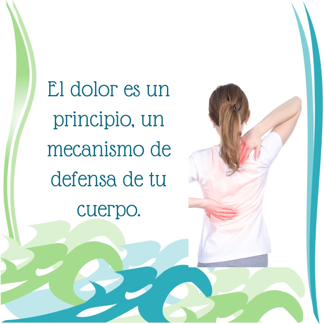 Imagen del Post 40