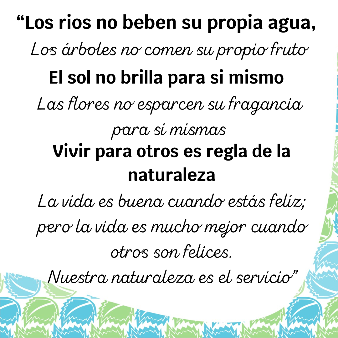 Servicio