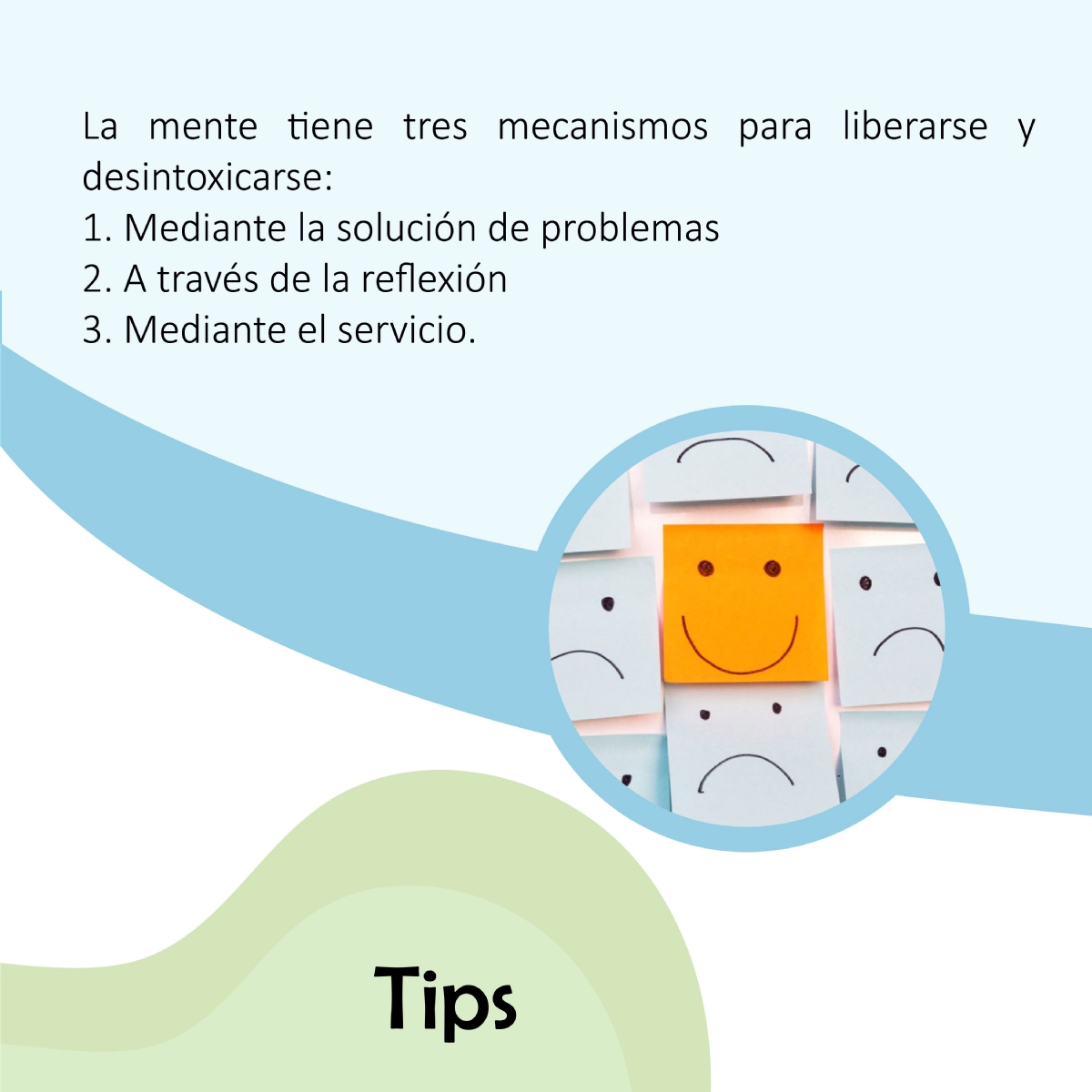 Imagen del Post 44