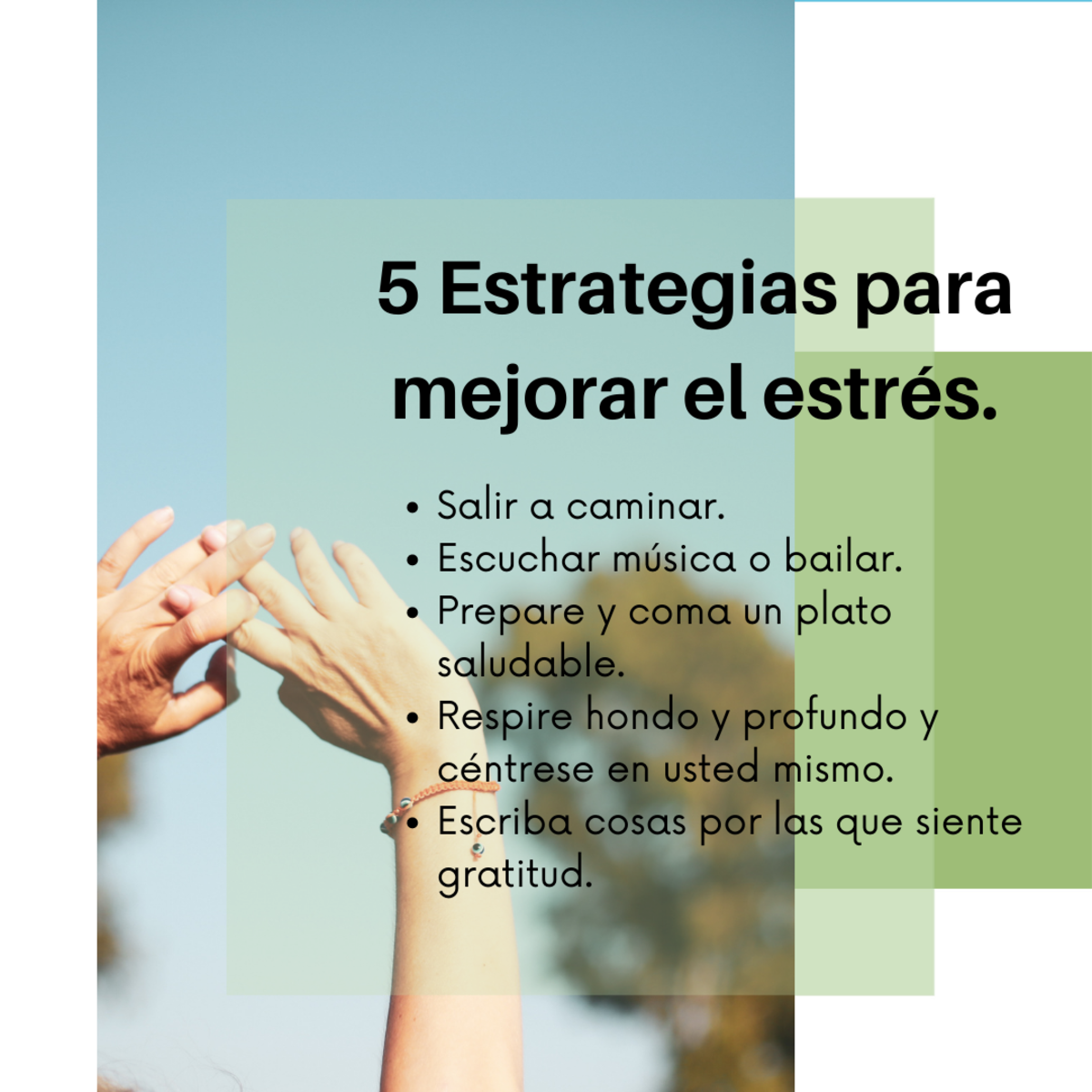 Imagen del Post 31