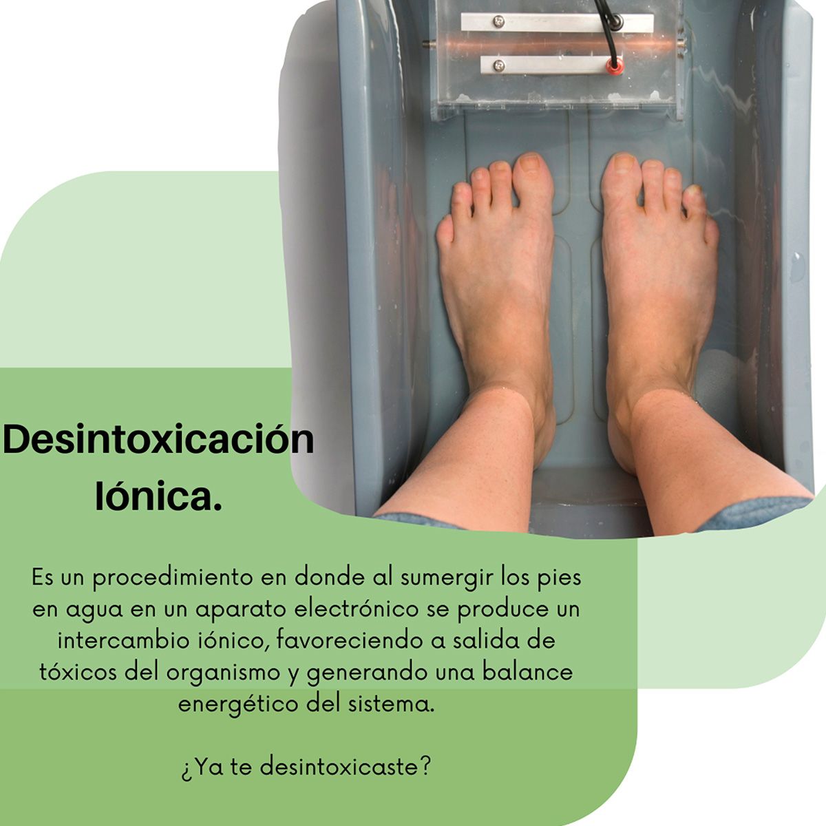 Imagen del Post 29