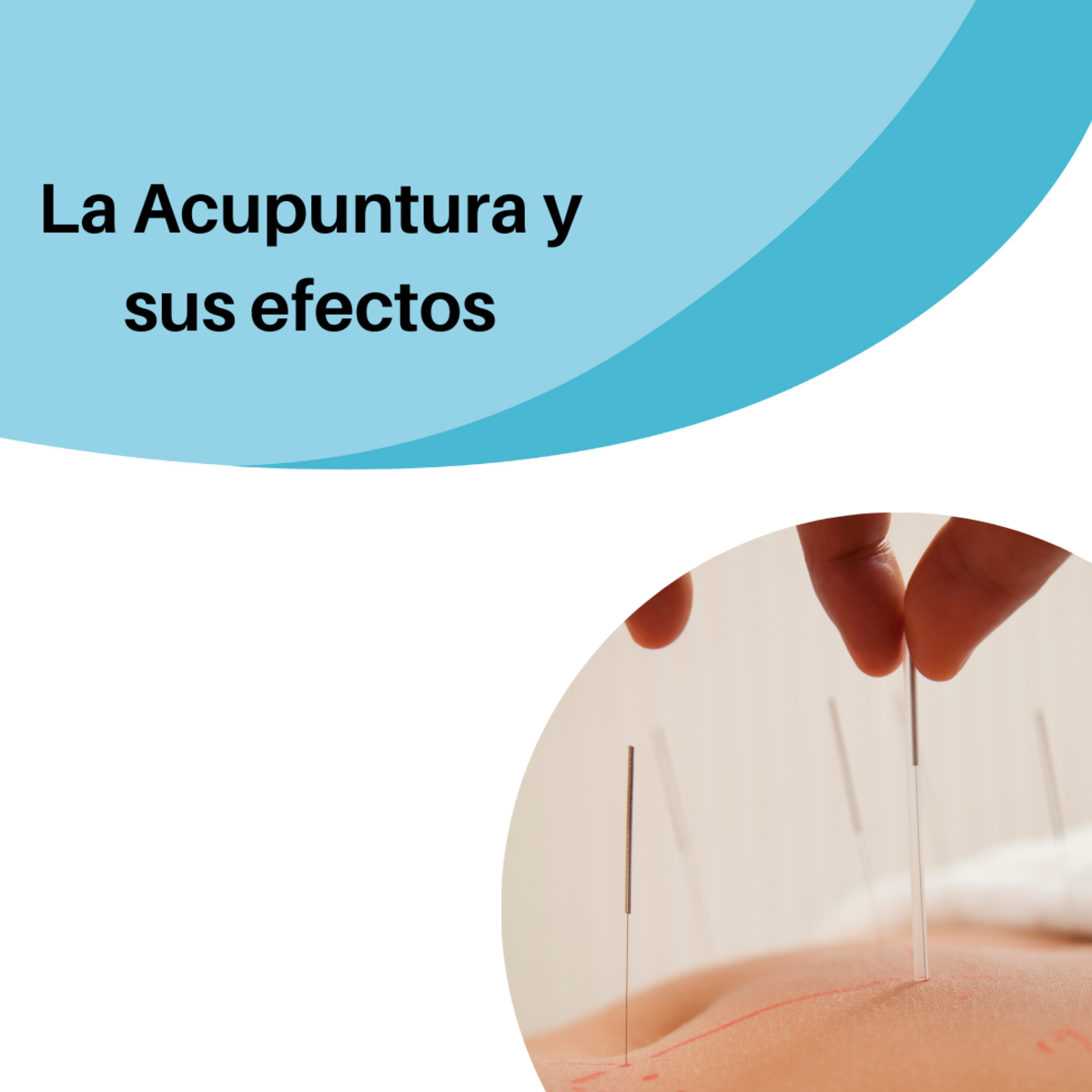 Imagen del Post 28