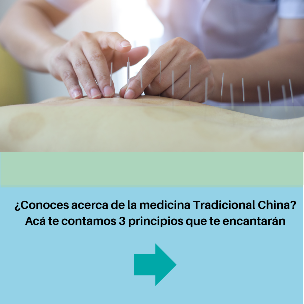 Imagen del Post 25