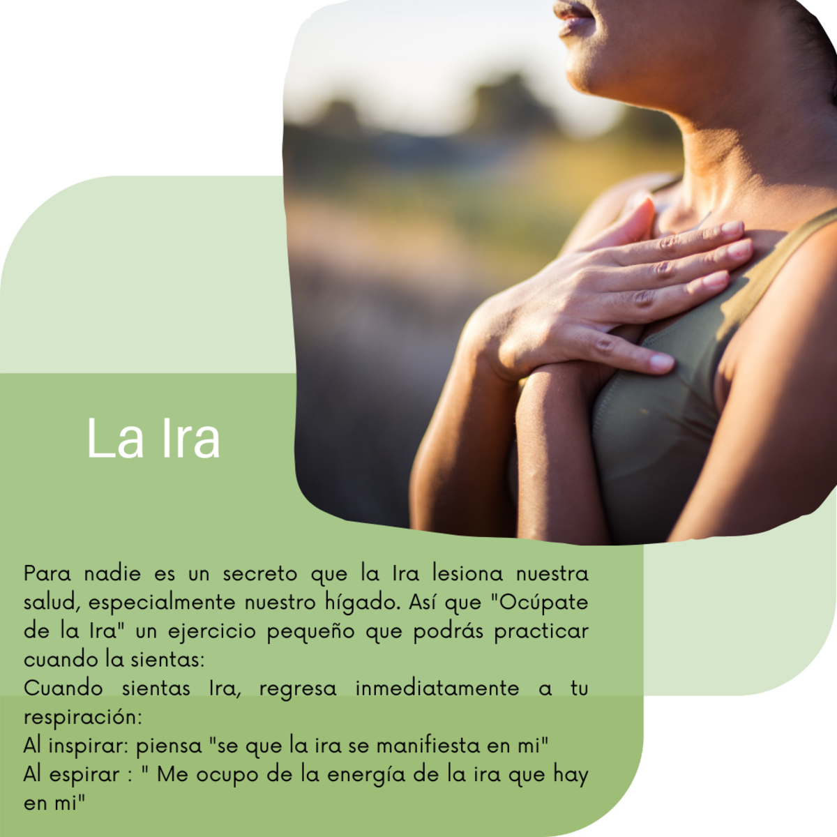 Imagen del Post 17