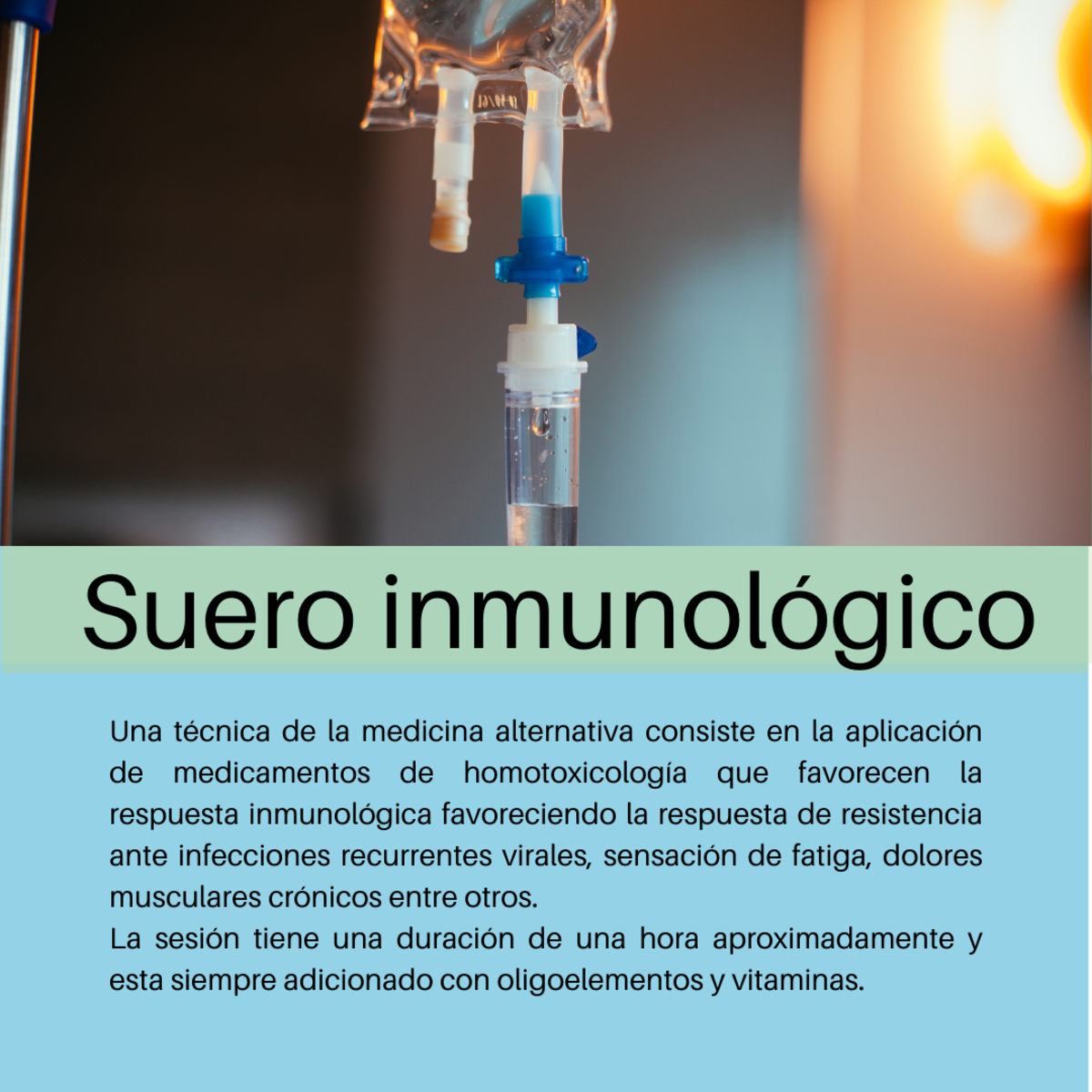 Imagen del Post 13