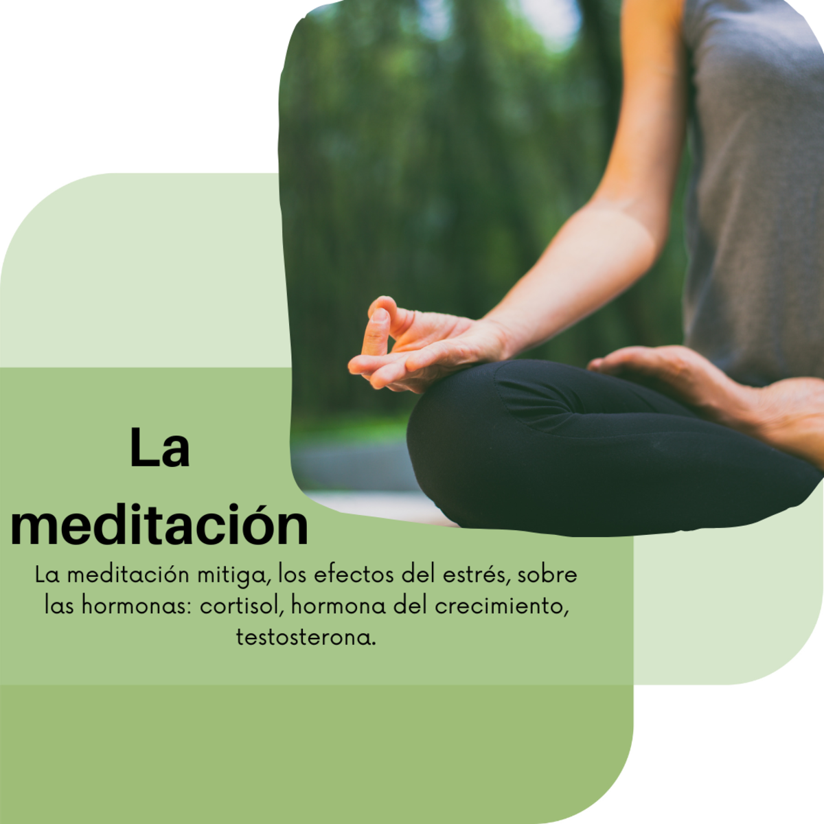 Imagen del Post 5