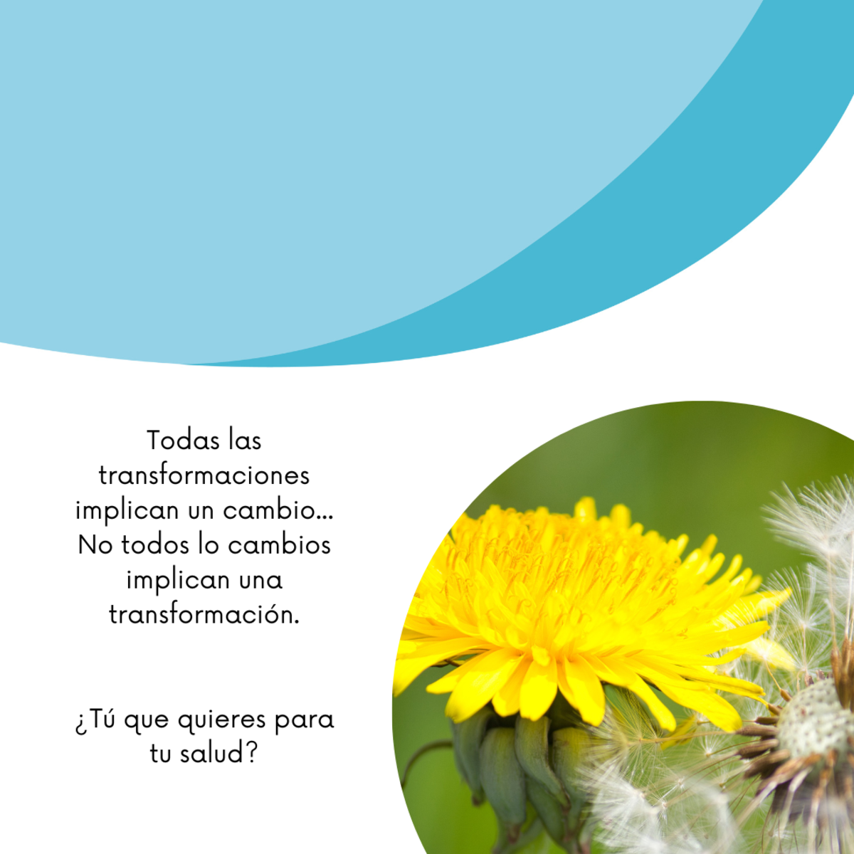 Imagen del Post 4