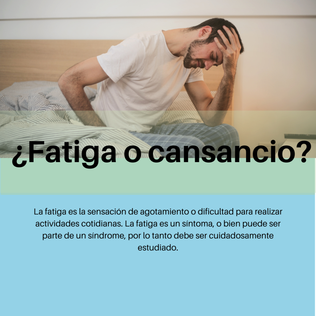 Imagen del Post 1