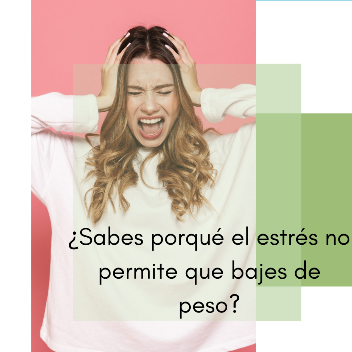 Imagen del Post 46
