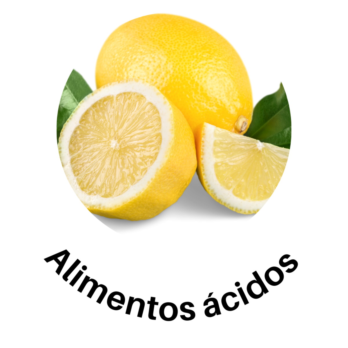 Imagen del Post 34