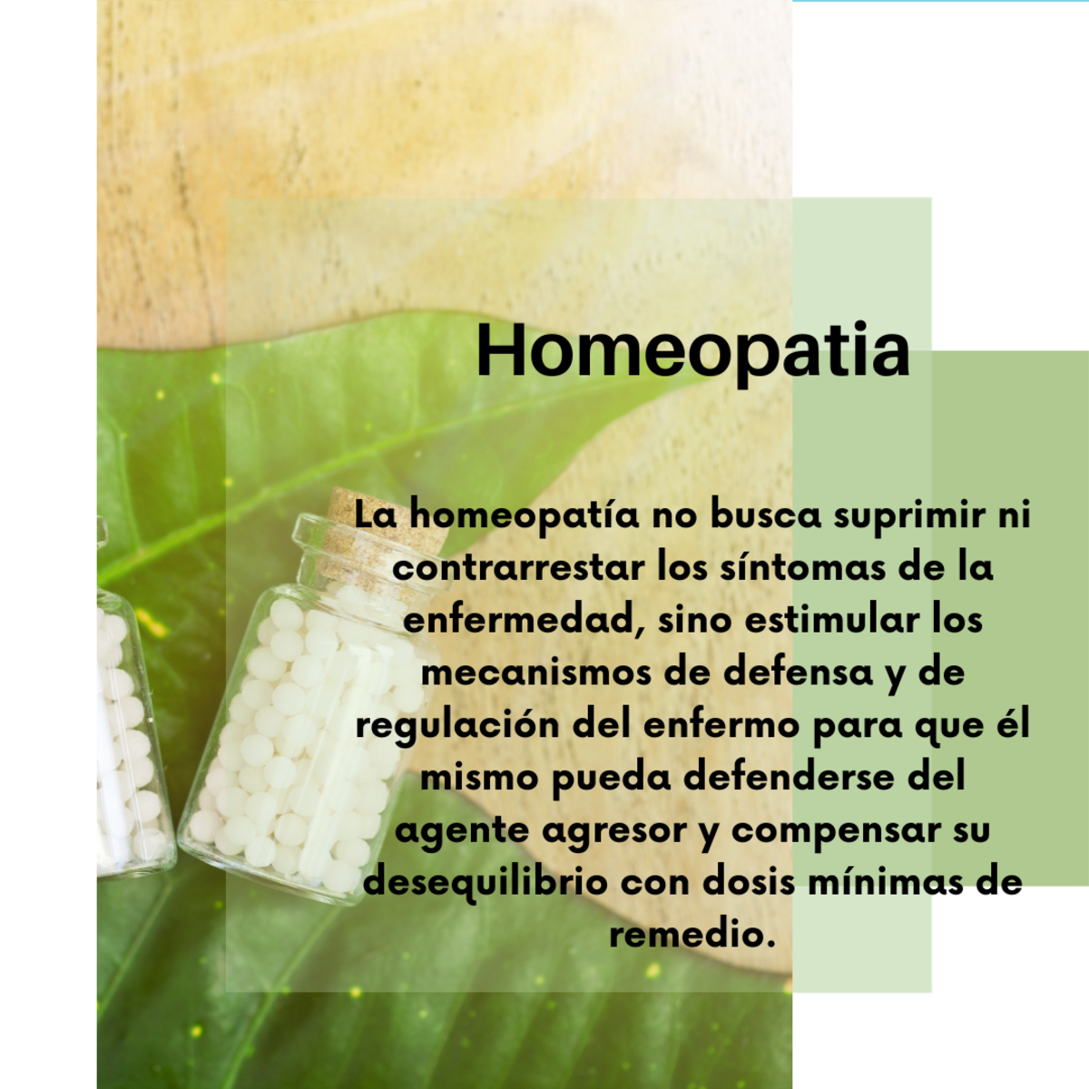 Imagen del Post 23